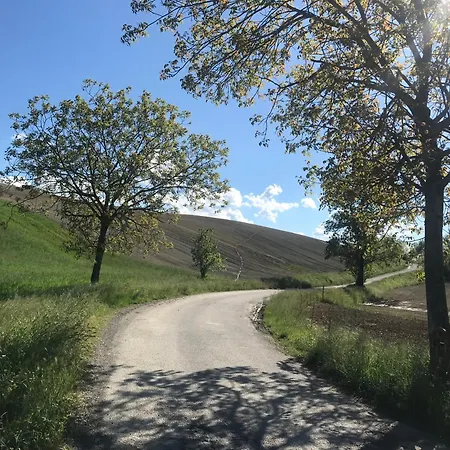 Old School Bacedasco * Vernasca