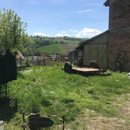 Old School Bacedasco * Vernasca