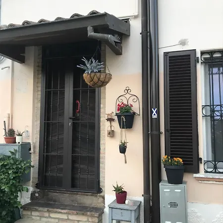 Old School Bacedasco