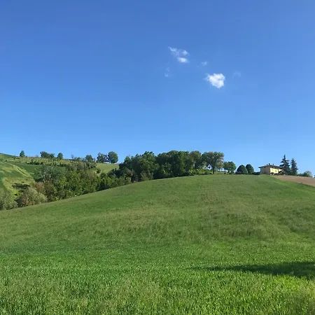 Old School Bacedasco * Vernasca