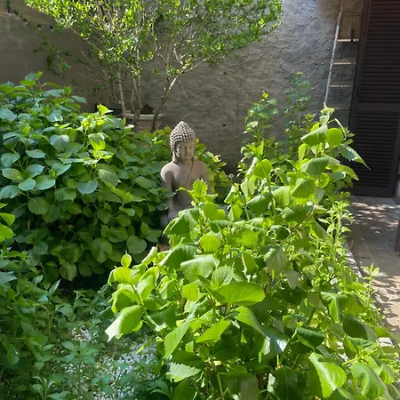 Old School Bacedasco * Vernasca