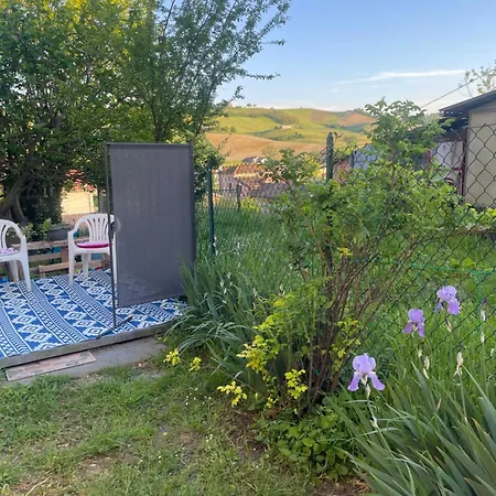 Old School Bacedasco