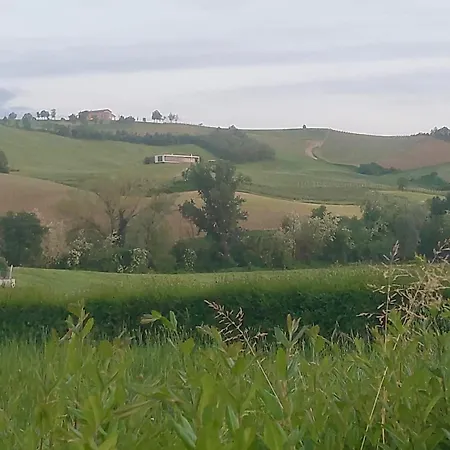 Bed & Breakfast Old School Bacedasco