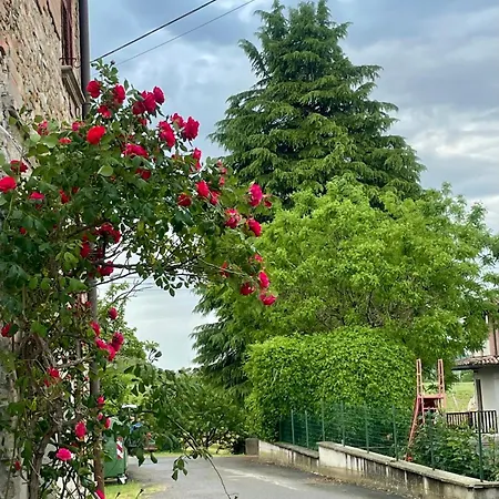 Old School Bacedasco *