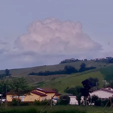 Old School Bacedasco Vernasca