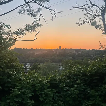 Old School Bacedasco * Vernasca