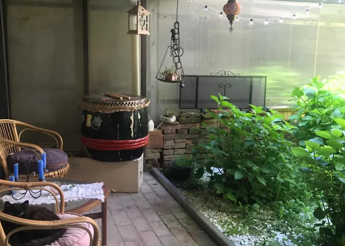 Old School Bacedasco Vernasca