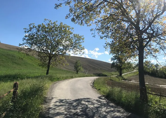 Old School Bacedasco * Vernasca