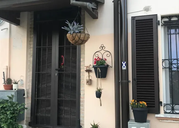 Old School Bacedasco