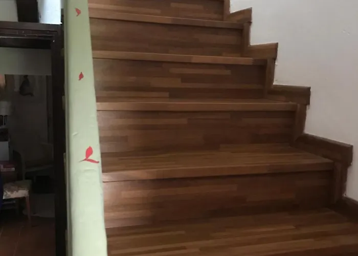 Bed and breakfast Old School Bacedasco *