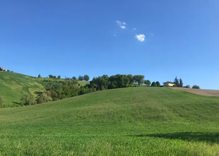 Old School Bacedasco * Vernasca