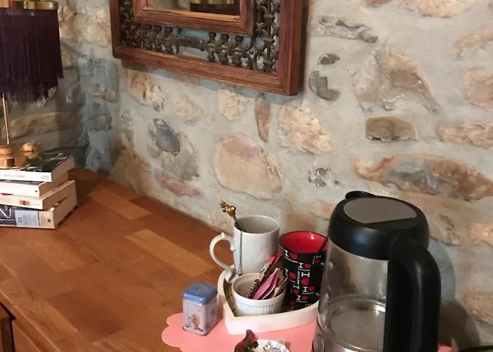 Old School Bacedasco