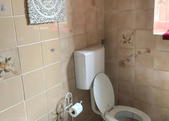 לינה וארוחת בוקר Old School Bacedasco