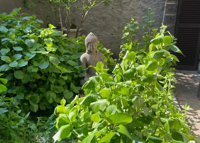 Old School Bacedasco * Vernasca