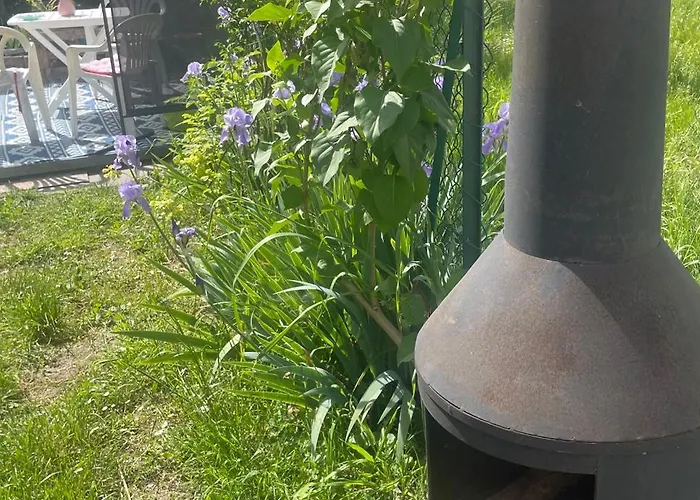 Old School Bacedasco Vernasca