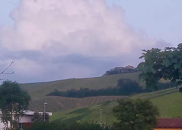 Old School Bacedasco * Vernasca