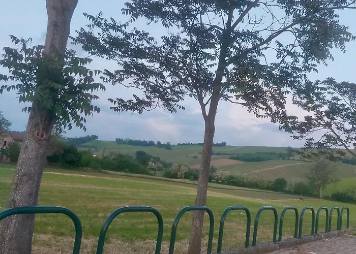 Old School Bacedasco