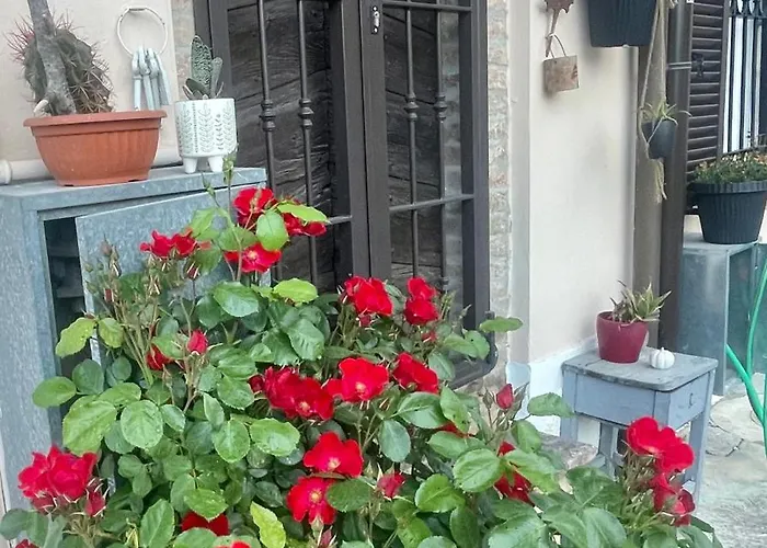 Old School Bacedasco فندق مبيت وإفطار *