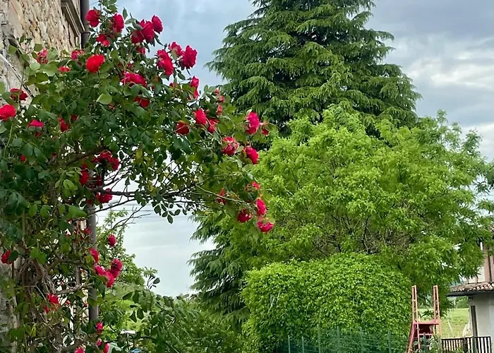 Old School Bacedasco *