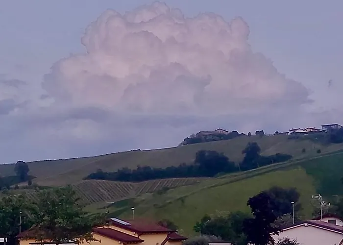 Old School Bacedasco Vernasca