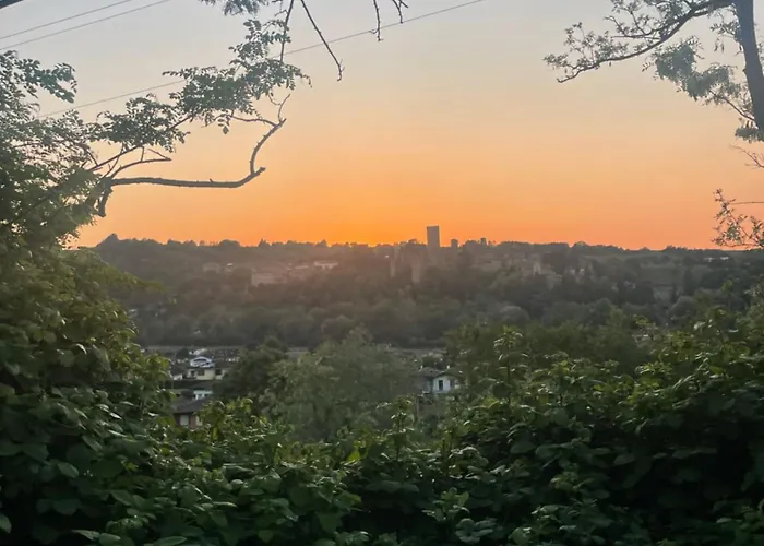 Old School Bacedasco * Vernasca