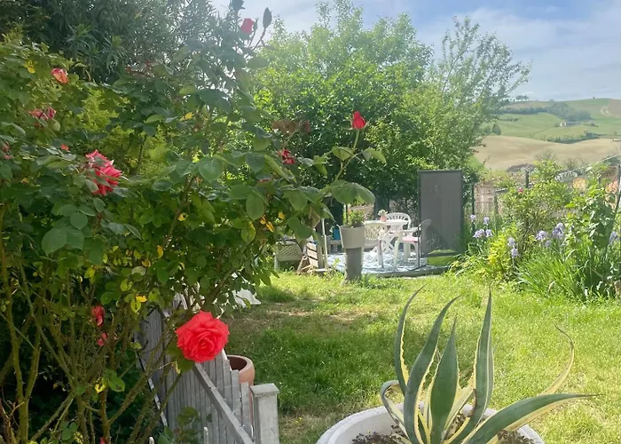 Bed and breakfast Old School Bacedasco